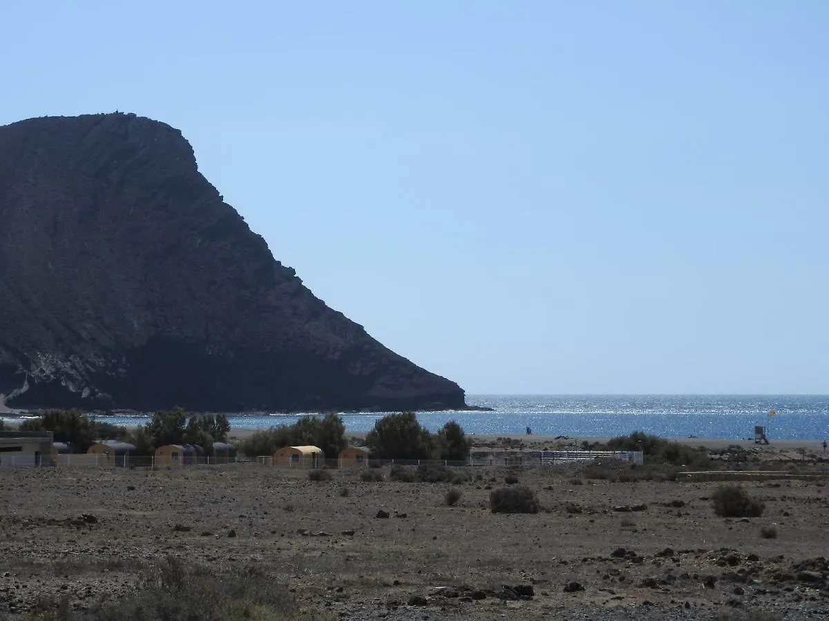 Cm 2 Bd Appartment Near The Sea El Medano  El Medano (Tenerife)
